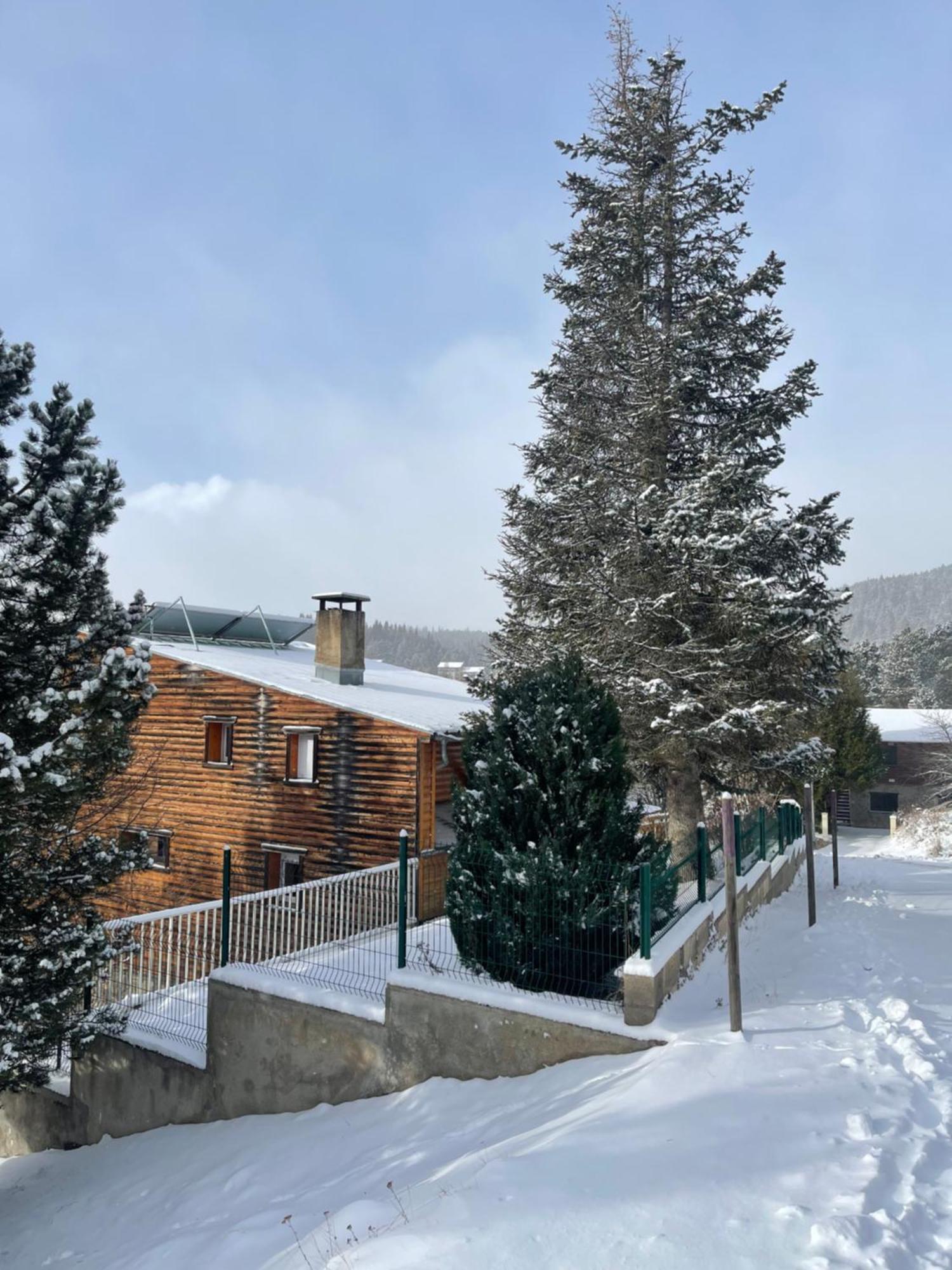 Chalet Isard Pyrenees 2000 - 300M Des Pistes Bolquere Pyrenees 2000 Exterior foto